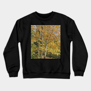 Maple Tree Crewneck Sweatshirt